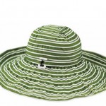 san-diego-hat-company-green